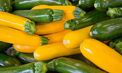 A Bright Harvest – Grow East Anglia