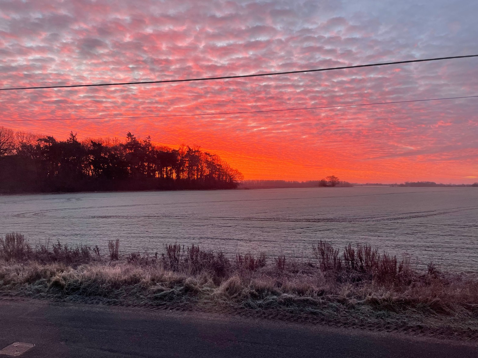 New Year, New Growth (Even if It’s Below the&nbsp;Surface)