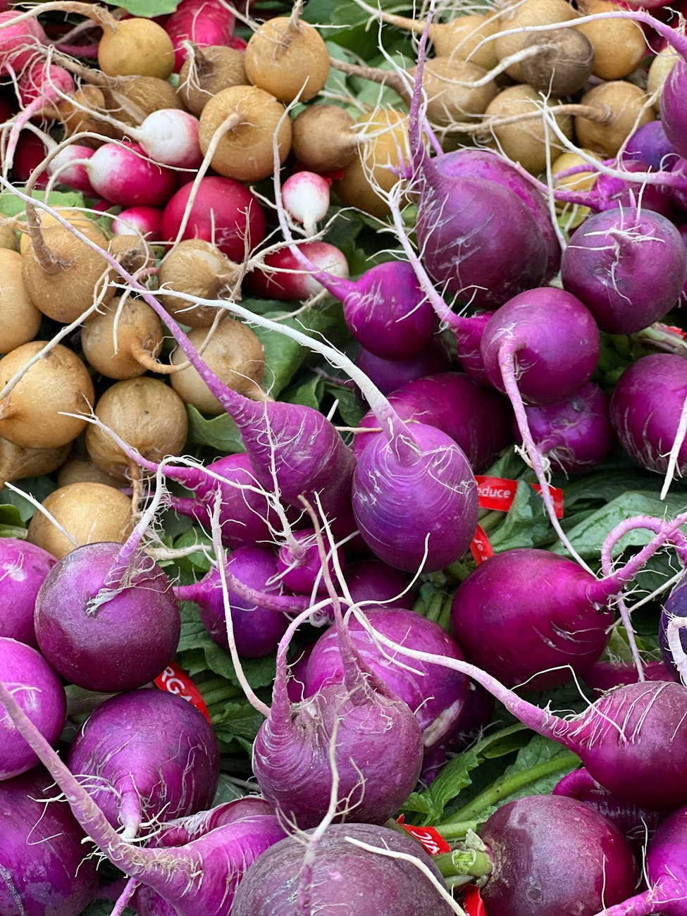 Harvest, Hearth & Holding On to the&nbsp;Light